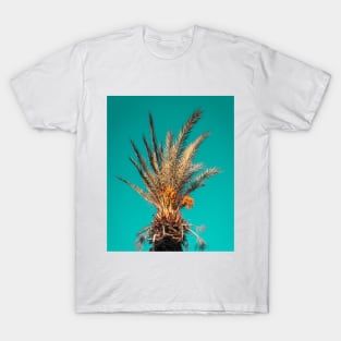 Tropical Palm Trees in a Blue Sky T-Shirt